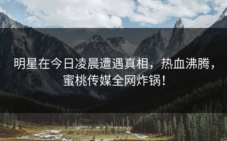 明星在今日凌晨遭遇真相，热血沸腾，蜜桃传媒全网炸锅！