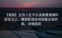 【速报】主持人在今日凌晨遭遇爆料 欲言又止，蘑菇影视在线观看全网炸锅，详情围观