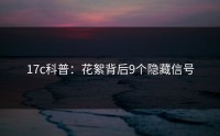 17c科普：花絮背后9个隐藏信号