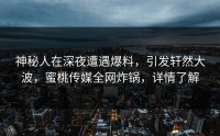 神秘人在深夜遭遇爆料，引发轩然大波，蜜桃传媒全网炸锅，详情了解