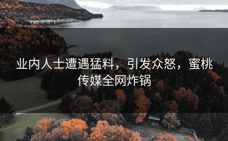 业内人士遭遇猛料，引发众怒，蜜桃传媒全网炸锅
