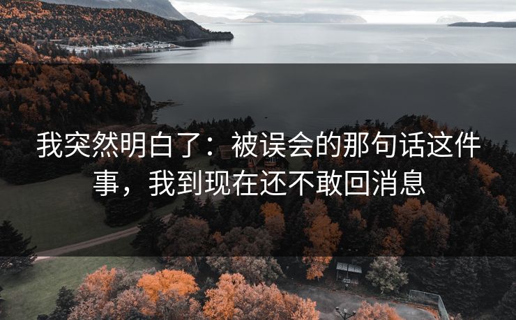 我突然明白了：被误会的那句话这件事，我到现在还不敢回消息